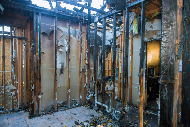Professional Smoke Damage Removal technician working in Estero, FL