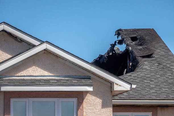 Top rated local Smoke Damage Removal specialists in Estero, FL